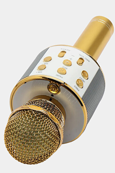 TechnoStation Kablosuz Karaoke Mikrofon Eğlenceli Kendinden Hoparlörlü Bluetooth Karaoke Mikrofonu Ses Değiştirme