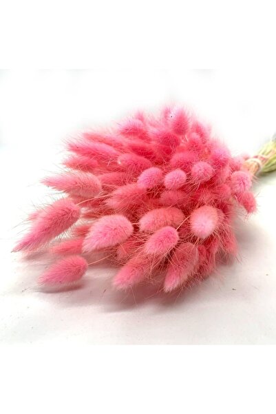 Genel Markalar Dekoratif Doğal Pamuk Otu Pembe Tonu Naturel Kuru Başak Süslem...