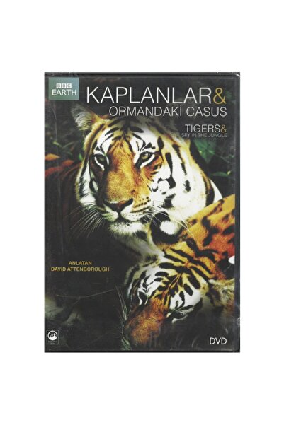 BBC Kaplanlar ve Ormandaki Casus Tıgers ve Spy In The Jungle - Dvd