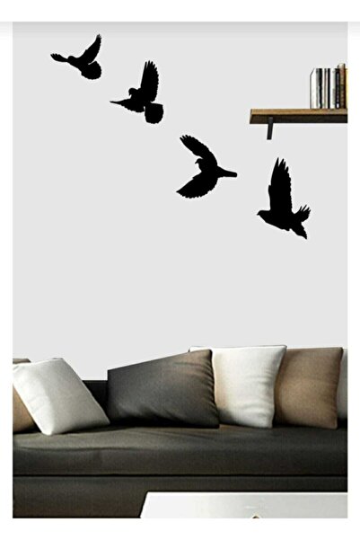 softclass 4 Kuş Duvar Dekarasyon