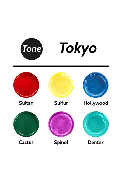 Resinin Tone Tokyo Epoksi Pigment Seti 6x25 ml