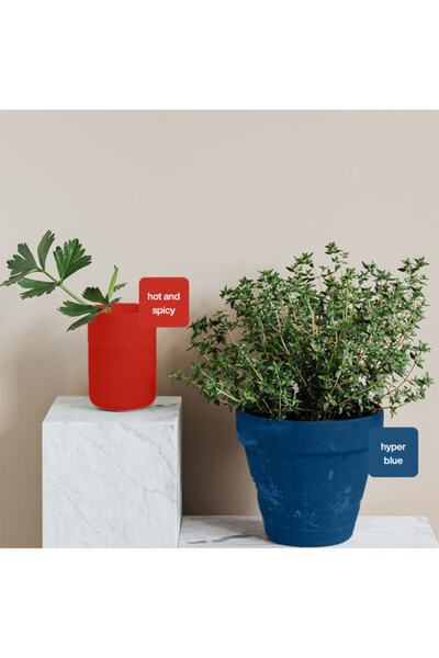 WHY NOT Hot and Spicy Multisurface Kendinden Vernikli Akrilik Boya 250ML