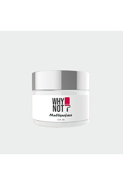 WHY NOT Lights of Himalayan Multisurface Kendinden Vernikli Akrilik Boya 250ML