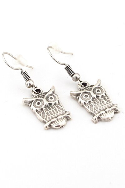 Solfera Design Owl Matte Metal Dangle Women's Earrings Ex064
