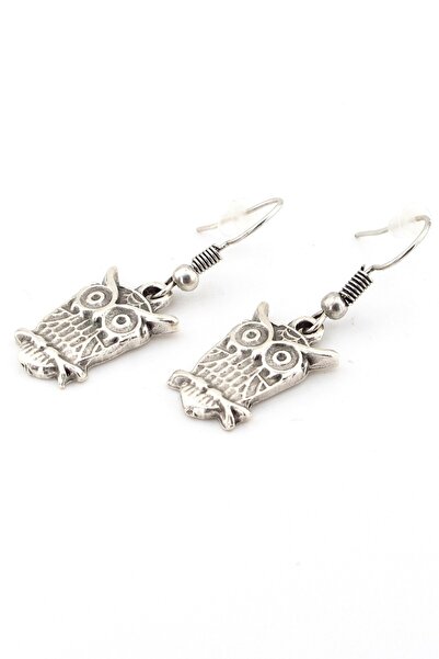 Solfera Design Owl Matte Metal Dangle Women's Earrings Ex064