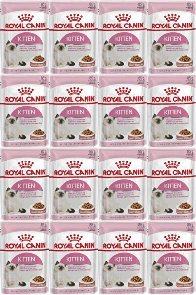 Royal Canin Kitten Gravy Kedi Mamasi 85 Gr 12 Adet
