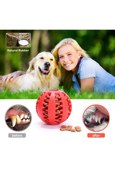 Teknopet Cat Dog Biting and Food Tank Toy Ball - Teething and Pet Cleaning Toy