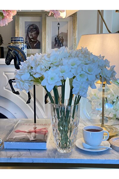 Dekordan House Kristal Cam Vazo