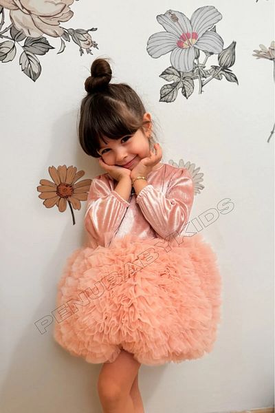 penu baby kids Powder Bottom Tutu Skirt Velvet Long Sleeve Baby Girl Dress