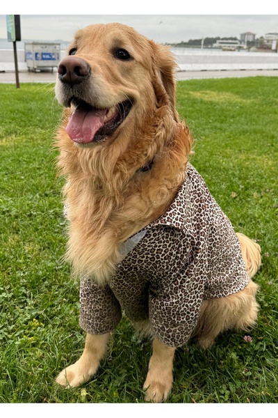 TofiTowel Leopar Desenli Büyük Irk Gömlek