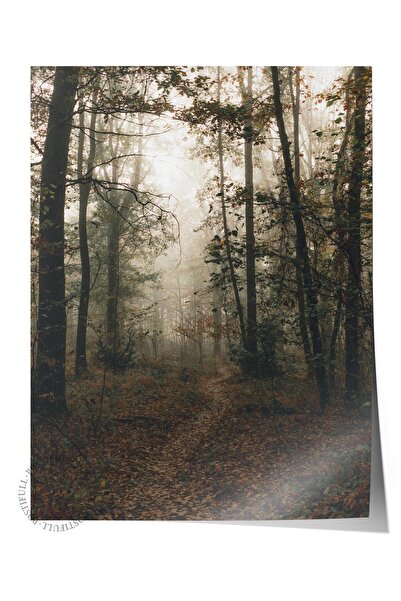 Postifull Çerçevesiz Poster Orman No:15, Fotoğraf Baskısı, Salon, Mutfak, Otu...