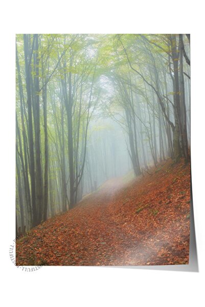Postifull Çerçevesiz Poster Orman No:4, Fotoğraf Baskısı, Salon, Mutfak, Otur...