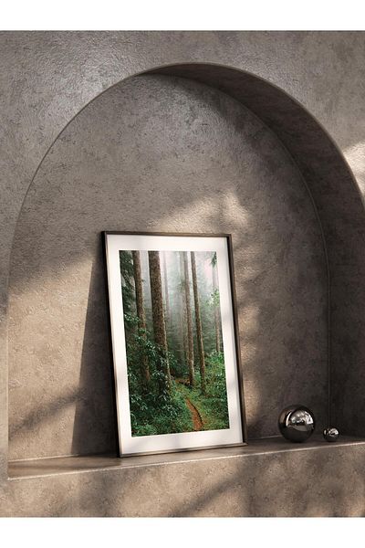 Postifull Forest No:40 Αφίσα με τυπωμένη φωτογραφία χωρίς πλαίσιο - Διακόσμηση τοίχου σαλονιού, κουζίνας, σαλονιού και αίθουσας