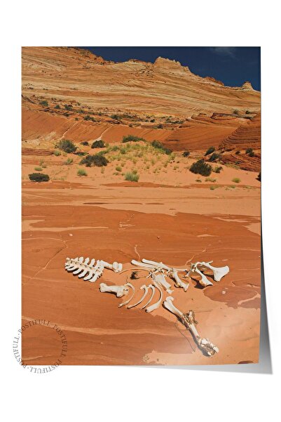 Postifull Poster fără încadrare, pictură din deșert nr. 2, fotografie HD, pos...