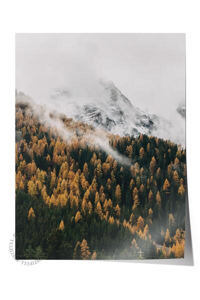 Postifull Çerçevesiz Poster Orman No:42, Fotoğraf Baskısı, Salon, Mutfak, Otu...