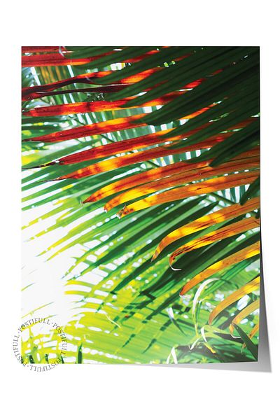 Postifull Frameless Poster, Botanical & Leaf Painting No:50, Hd Photo, Living Room, Kitchen Wall Decor Poster