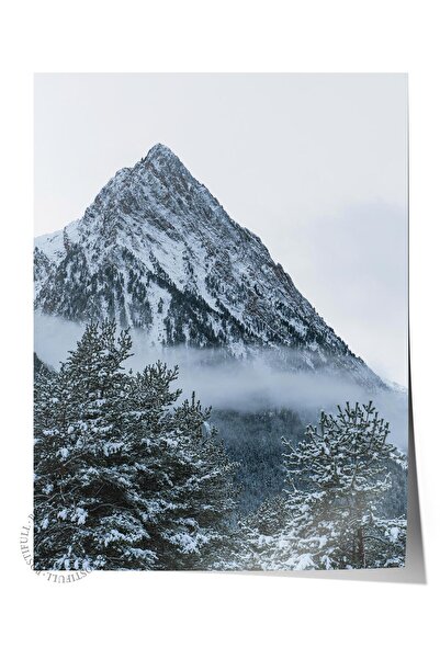 Postifull Çerçevesiz Poster Orman No:10, Fotoğraf Baskısı, Salon, Mutfak, Otu...