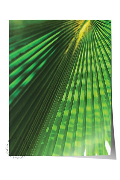 Postifull Poster fără încadrare, tablou botanic și cu frunze nr. 35, fotograf...