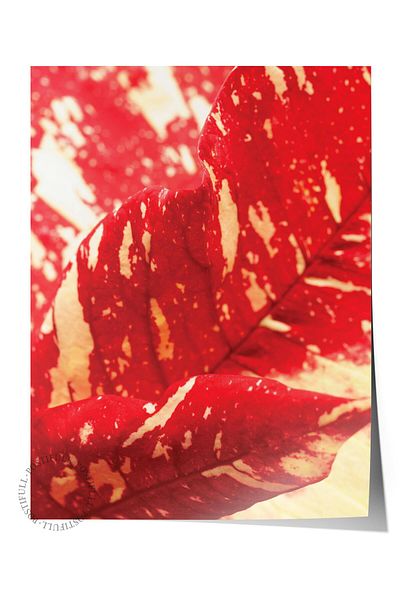 Postifull Frameless Poster, Botanical & Leaf Painting No:15, Hd Photo, Living Room, Kitchen Wall Decor Poster
