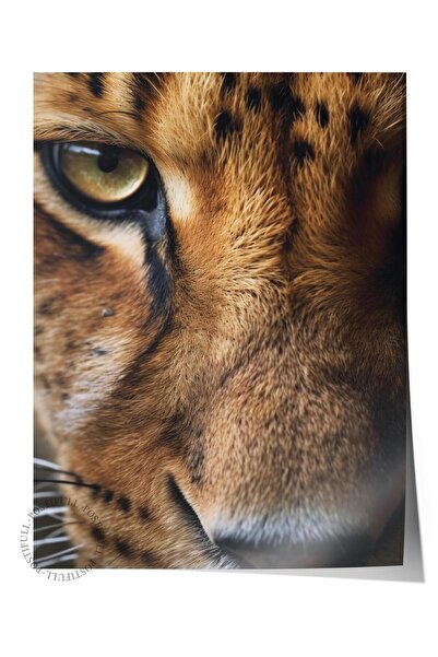 Postifull Αφίσα χωρίς πλαίσιο, Ζώα & Ζωγραφική Σαφάρι Νο:2, Φωτογραφία HD, Δι...