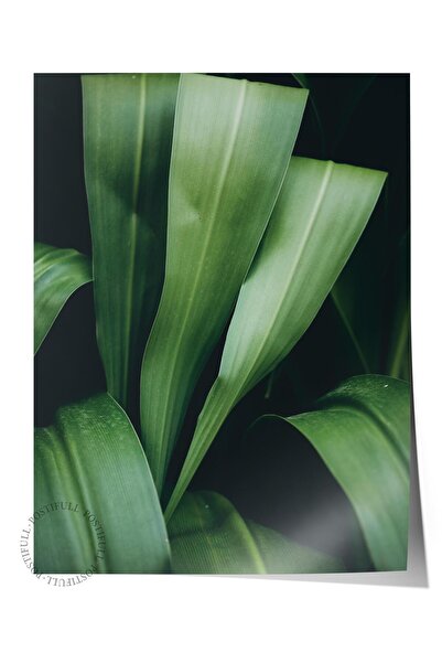 Postifull Poster fără încadrare, tablou botanic și cu frunze nr. 40, fotograf...