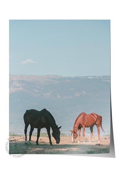 Postifull Αφίσα χωρίς πλαίσιο, Ζώα & Ζωγραφική Σαφάρι Νο:42, Φωτογραφία HD, Δ...