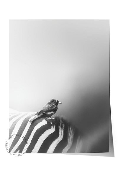 Postifull Ασπρόμαυρη αφίσα HD Photo Frameless - Διακόσμηση τοίχου σαλονιού και κουζίνας Νο:70