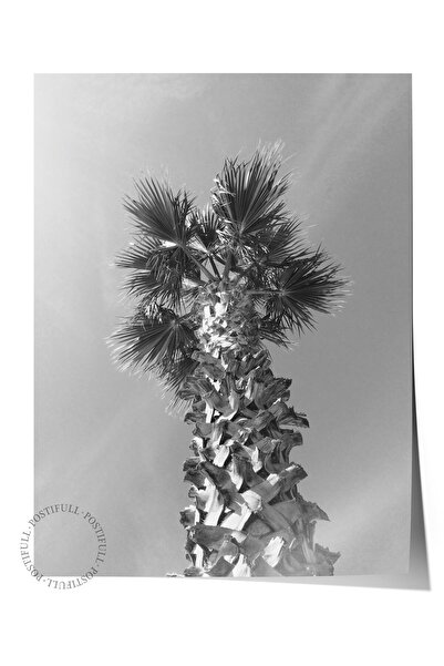 Postifull Çerçevesiz Poster, Siyah & Beyaz Fotoğraf No:34, HD Fotoğraf, Salon...