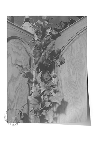 Postifull Çerçevesiz Poster, Siyah & Beyaz Fotoğraf No:86, HD Fotoğraf, Salon...