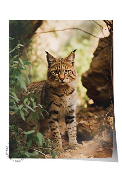 Postifull Çerçevesiz Poster, Hayvanlar & Safari Tablo No:44, HD Fotoğraf, Sal...