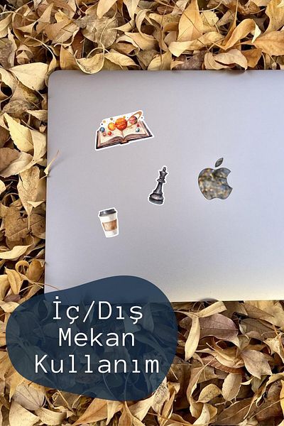 Postifull Colorful Sticker Set, Large Size, 17 Pieces Waterproof, Sticker Set, Laptop, Phone, Suitcase Compatible