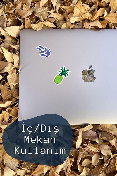 Postifull Colorful Botanical Sticker Set, Large Size, 13 Pieces Waterproof, Vintage Sticker, Laptop, Phone, Suitcase
