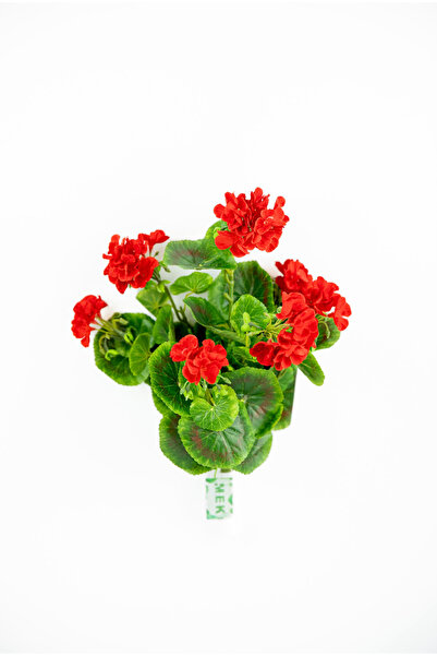 MK إبرة الراعي الصمغي الاصطناعي