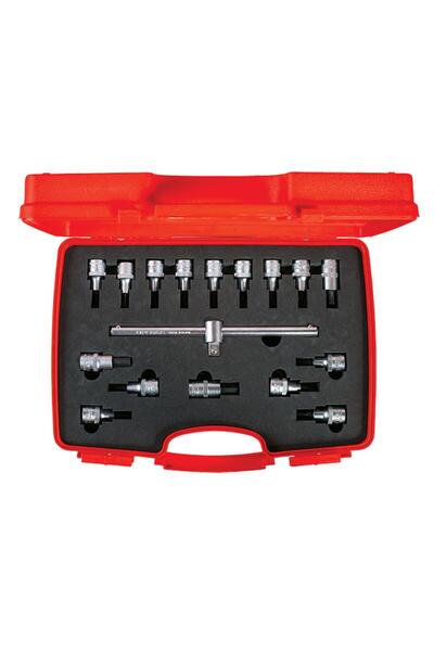 İzeltaş Allen and Star Torx Tip Set with 1 2" Socket - 17 Pieces 1113 00 6017