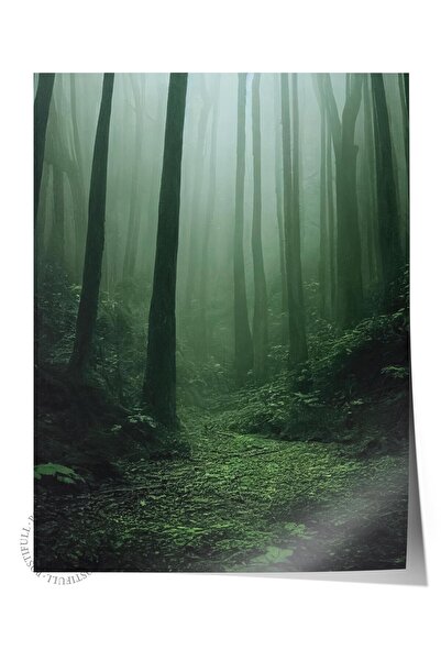 Postifull Çerçevesiz Poster Orman No:21, Fotoğraf Baskısı, Salon, Mutfak, Otu...