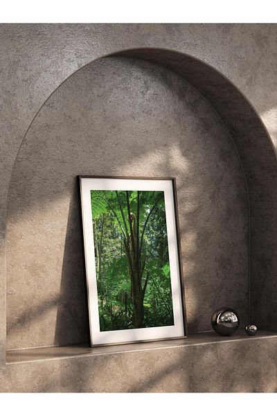 Postifull Forest No:11 Αφίσα χωρίς πλαίσιο - Εκτύπωση φωτογραφιών, Διακόσμηση σαλονιού και αίθουσας σαλονιού