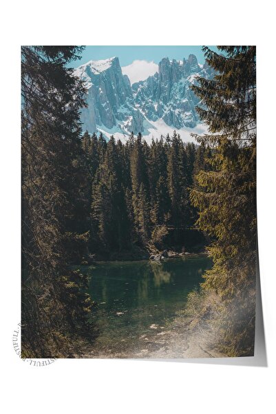 Postifull Çerçevesiz Poster Orman No:8, Fotoğraf Baskısı, Salon, Mutfak, Otur...