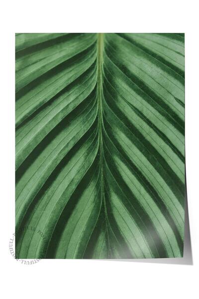 Postifull Çerçevesiz Poster, Botanik & Yaprak Tablo No:28, HD Fotoğraf, Salon...