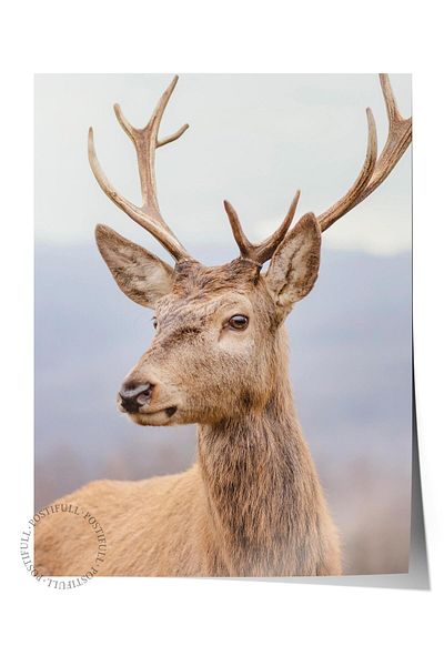 Postifull Frameless Poster, Animals & Safari Painting No:48, Hd Photo, Living Room, Kitchen Wall Decor Poster