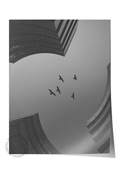 Postifull Ασπρόμαυρη αφίσα HD Photo Frameless - Διακόσμηση τοίχου κουζίνας σα...