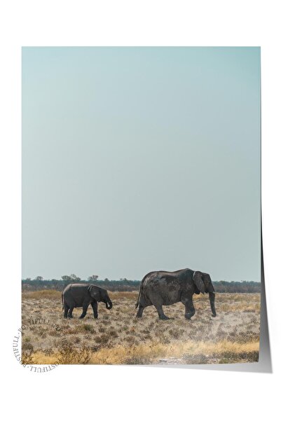 Postifull Αφίσα χωρίς πλαίσιο, Ζώα & Ζωγραφική Σαφάρι Νο:29, Φωτογραφία HD, Δ...