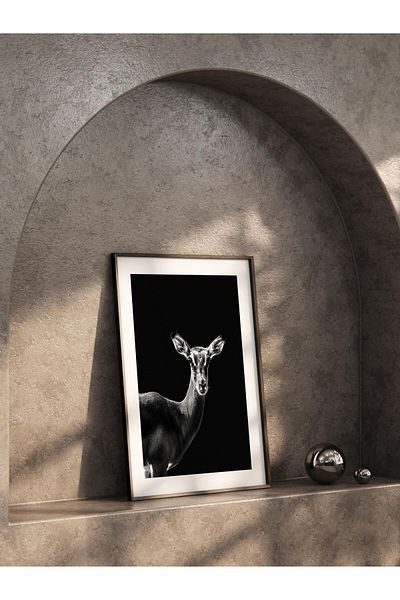 Postifull Poster fără încadrare, Animali și Safari Tablo No:32, Foto HD, Poster pentru decorarea peretelui pentru sufragerie, bucătărie