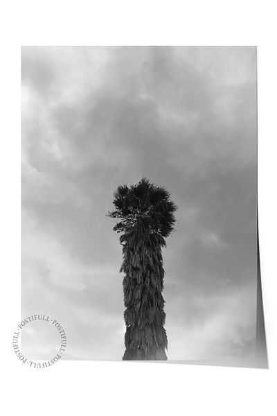 Postifull Ασπρόμαυρη αφίσα HD Photo Frameless - Διακόσμηση τοίχου σαλονιού και κουζίνας Νο:41