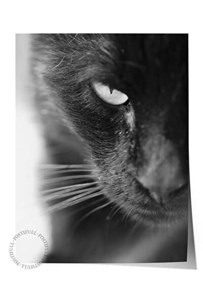 Postifull Αφίσα χωρίς πλαίσιο, Ζώα & Ζωγραφική Σαφάρι Νο:30, Φωτογραφία HD, Δ...