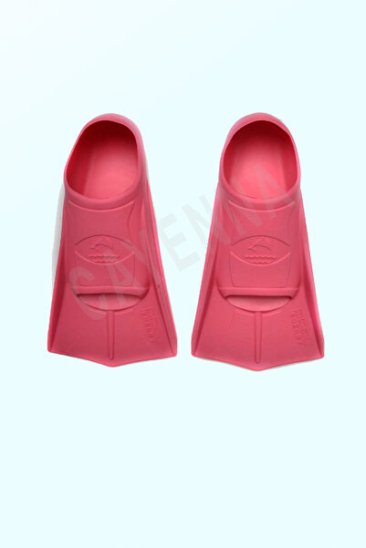 cayenna Unisex Pool Energy Havuz ve Antreman Paletleri 4 Renk Taşıma Çantalı