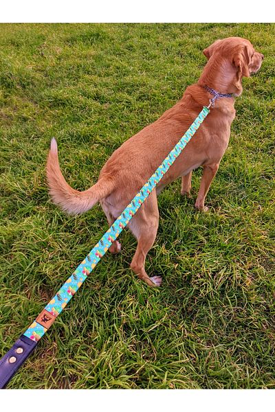 UTDpet Pineapple Patterned Dog Collar and Travel Set - Scarf Gift