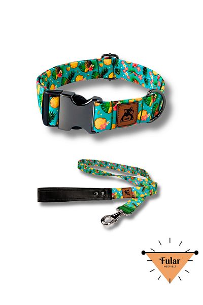 UTDpet Pineapple Patterned Dog Collar and Travel Set - Scarf Gift