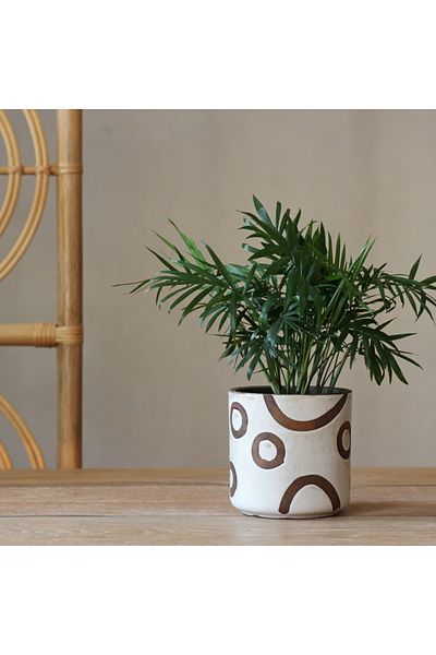 Warm Design Terracotta Colorful Spotted Flower Pot