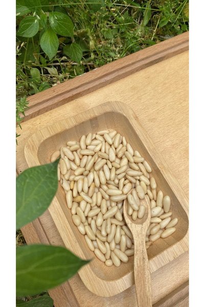 Doğal hayat 54 Çam Fıstığı 10 Gr