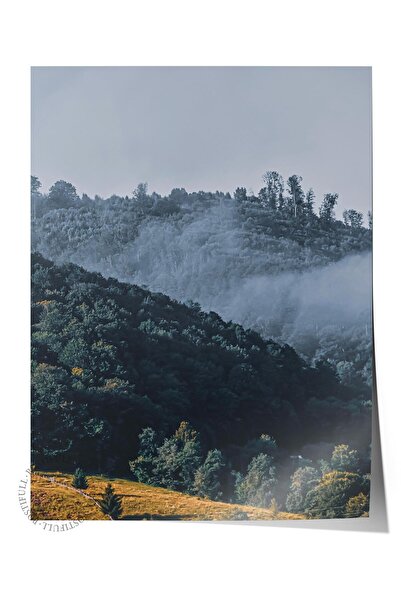 Postifull Çerçevesiz Poster Orman No:43, Fotoğraf Baskısı, Salon, Mutfak, Oturma Odası, Hol Duvar Dekoru Poste